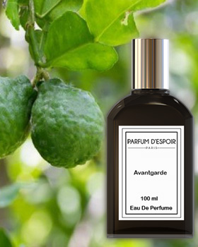 avantgarde - perfume for men