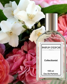 Collectionist - powdery perfume